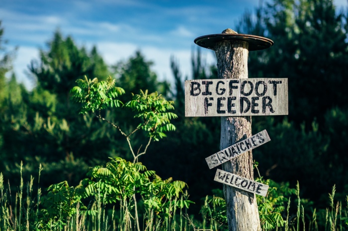Bigfoot feeder: Sasquatches Welcome
